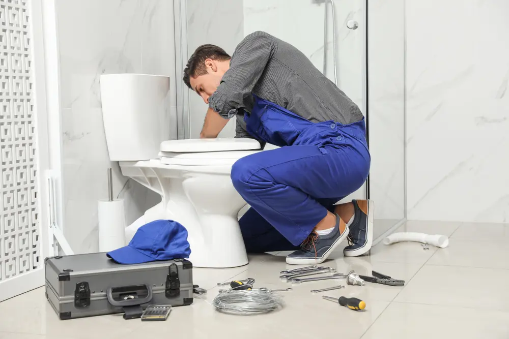 Toilet Repair in Camargito